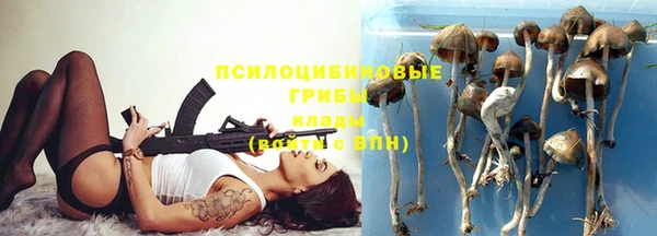 мет Балахна
