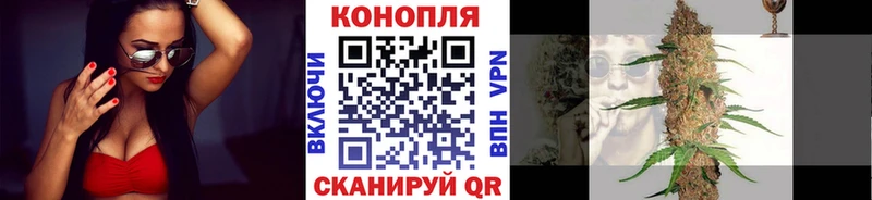 Купить где  Сертолово  Канабис марихуана 